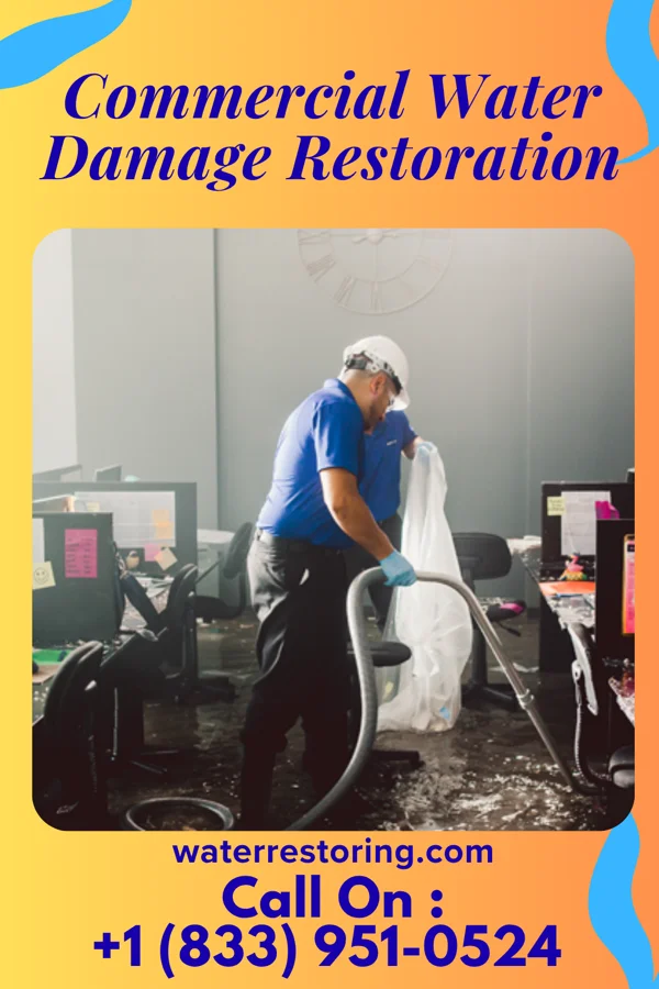 Commercial Water Damage Restoration in Cresaptown, MD
