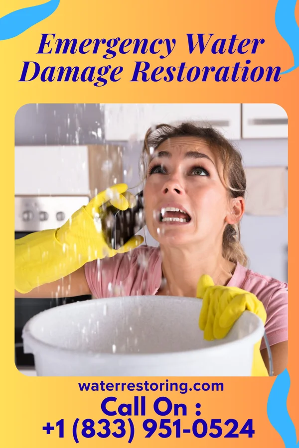 Emergency Water Damage Restoration in Cresaptown, MD