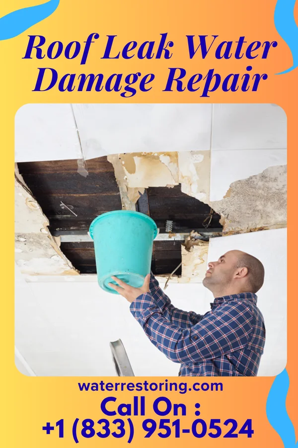Roof Leak Water Damage Repair in Cresaptown, MD
