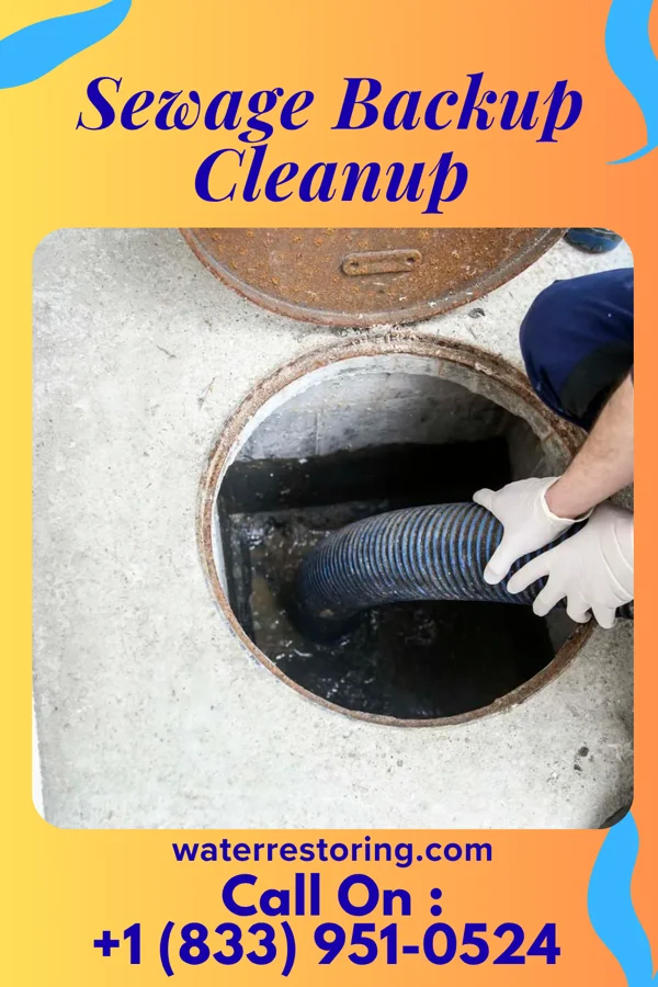 Sewage Backup Cleanup in Cresaptown, MD