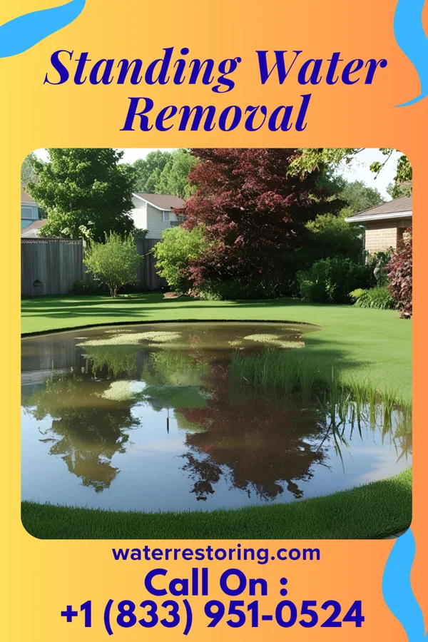 Standing Water Removal in Cresaptown, MD